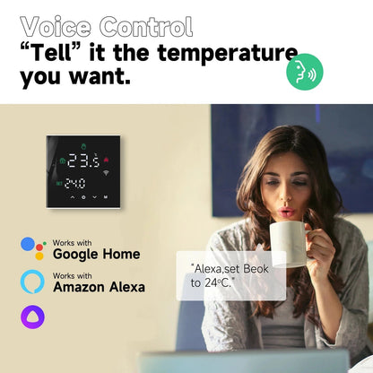 Smart Home Thermoregulator